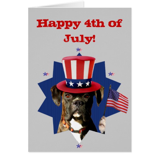 Funny 4th Of July Cards